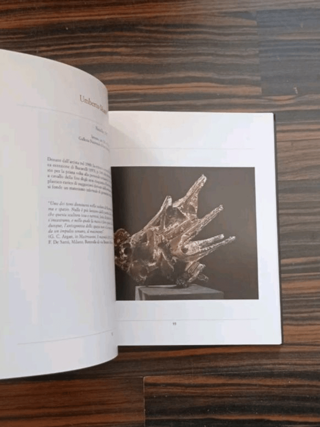 Mariastella Margozzi (curatrice) - '50-'60. La scultura in Italia. Opere dalle collezioni della Galleria Nazionale d'Arte Moderna (De Luca, 2007)