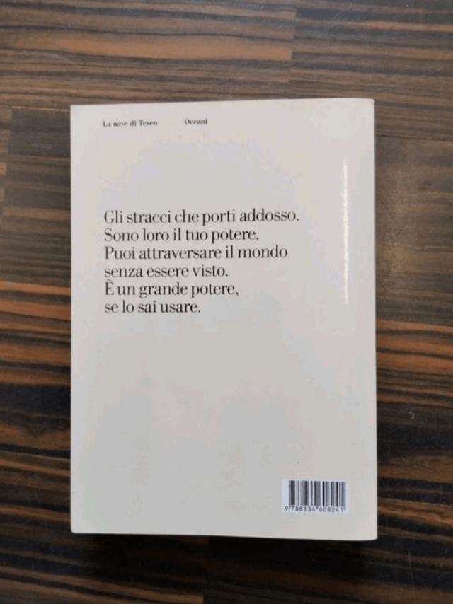 Stefano Vicario - Il re degli stracci. La prima indagine di un invisibile (La nave di Teseo, 2021)