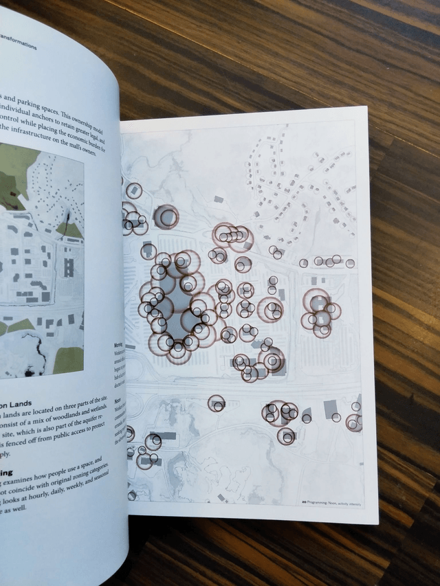 Paul Lukez - Suburban Transformations (Princeton Architectural Press, 2007)