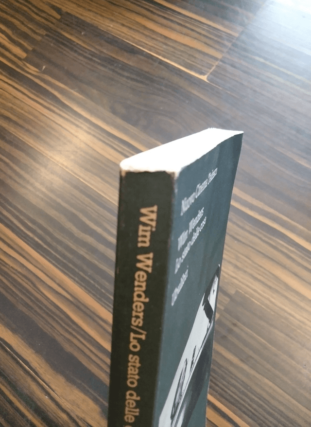 Wim Wenders - Lo stato delle cose (Ubulibri, 1983)
