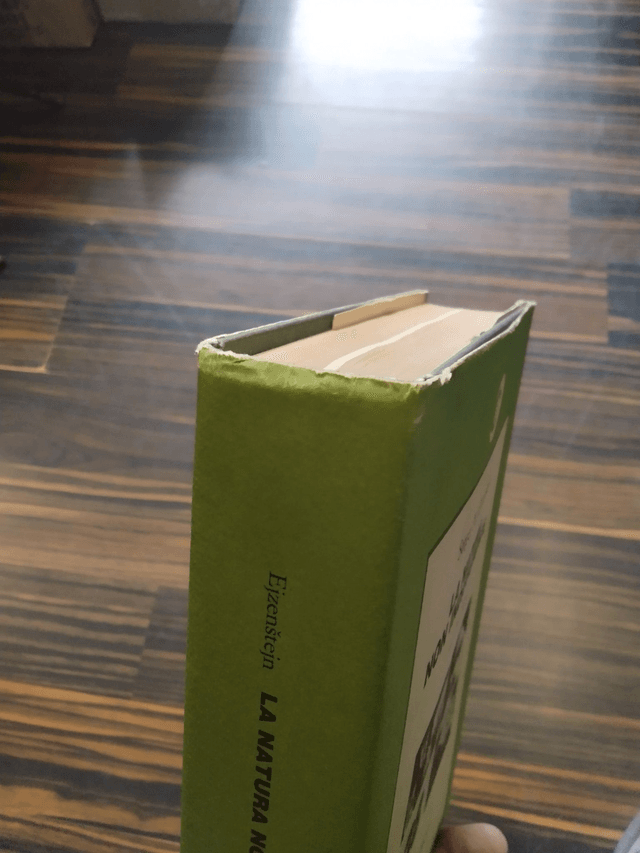 Sergej M. Ejzenštejn - La natura non indifferente (Marsilio, 1981 - 1a ed.)