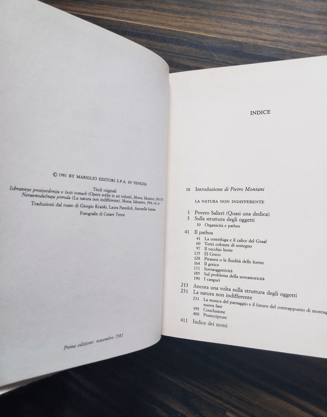 Sergej M. Ejzenštejn - La natura non indifferente (Marsilio, 1981 - 1a ed.)